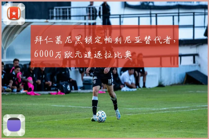 拜仁慕尼黑锁定帕利尼亚替代者，6000万欧元追逐拉比奥